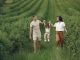 A happy family walking in a lush, green rural field together.